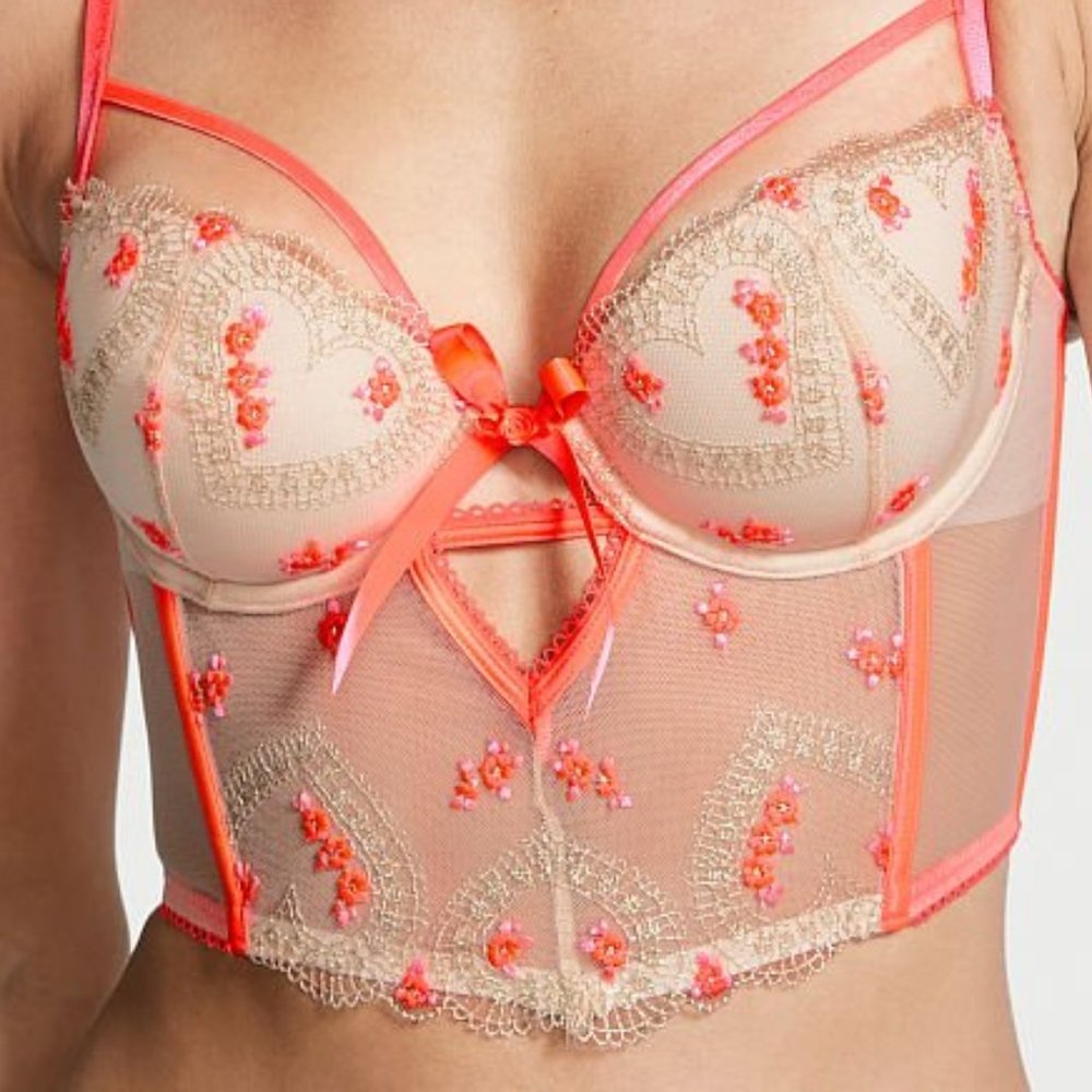 Embroidered Hearts 32C VS DREAM ANGELS Heart Embroidery Corset Top NWT